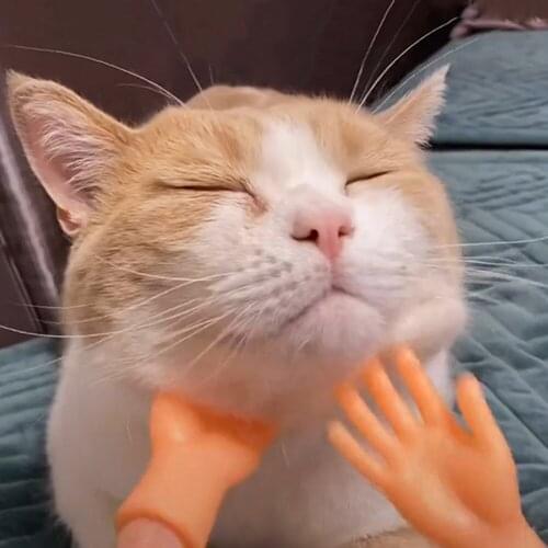 Finger Hand Teaser Rod Funny Pet Stroke Cat Small Gloves Interactive Kitten Playing Wand Sticks Toys Kitten Supplies