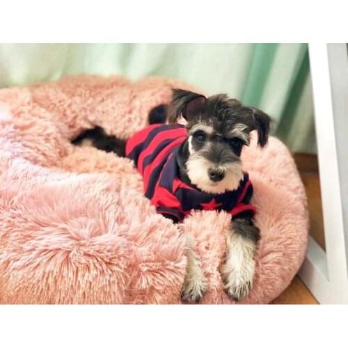 Pet Dog Cat Washable Bed Round Breathable Lounger Sofa Bed For Cat Dogs Super Soft Plush Pads Dogs Mat Warm Sleeping Blanket