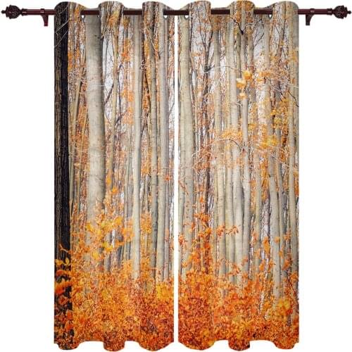 Autumn Leaves Birch Forest Large Curtains For Living Dining Modern Simple Curtains Finished Curtains For Dining Room Bedroom