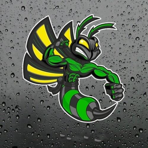 Dawasaru Hornets Colored Car Sticker Waterproof Decal Laptop Guitar Truck Motorcycle Auto Accessories Decoration PVC,14cm*14cm