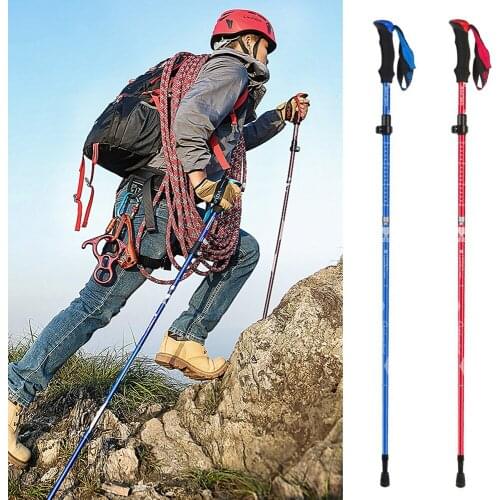 BLUEFIELD Folding Walking Sticks
