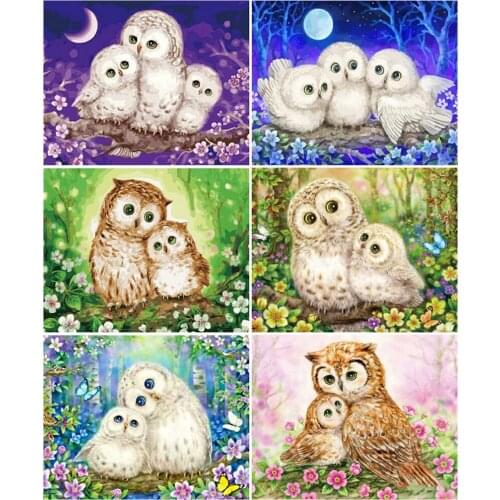 AZQSD 40x50cm Painting By Numbers Animal Picture For Living Room Home Decoration Coloring By Numbers Owl Handpainted Gift