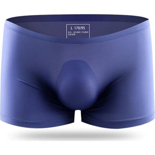 Mens Boxers Sexy Gay Underwear Seamless Penis Man Solid Transparent Ice Silk Underpants Male Boxershort Man Clothing Plus Size