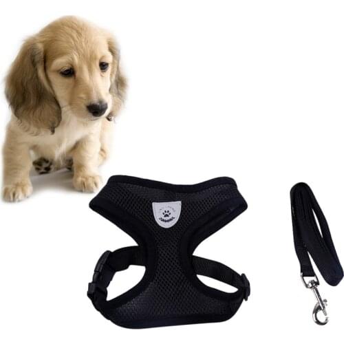 Breathable Dog Pet Harness and Leash Set Air Nylon Mesh Puppy Small Dogs Cat Clothes Accessories Puppy Vest Net For Chihuahua
