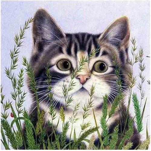 Diamond Embroidery Grass Cat Diy 5d Diamond Painting Cat Living Room Bedroom Cross Stitch Home Furnishing Decoration RL06