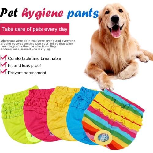 Rainbow Pet Dog Shorts Diaper Sanitary Physiological Pants Washable Female Short Panties Menstruation Underwear Briefs