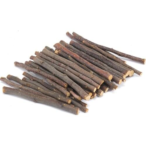 100g Chew Stick Apple Tree Branch Small Pet Chinchillas Netherlands Pig Hamster Bite Molars Clean Teeth Natural Wooden Toys