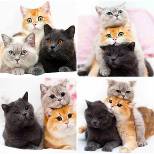 AZQSD Full Kits Diamond Painting Cat Picture Of Rhinestones Diamond Embroidery Animals Mosaic Home Decor Handmade Gift