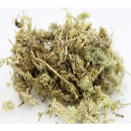 10G/bag Diy Sphagnum Moss Garden Supplies Sphagnum Moss Moisturizing Nutrition Organic Fertilizer For Phalaenopsis Orchid Musgo