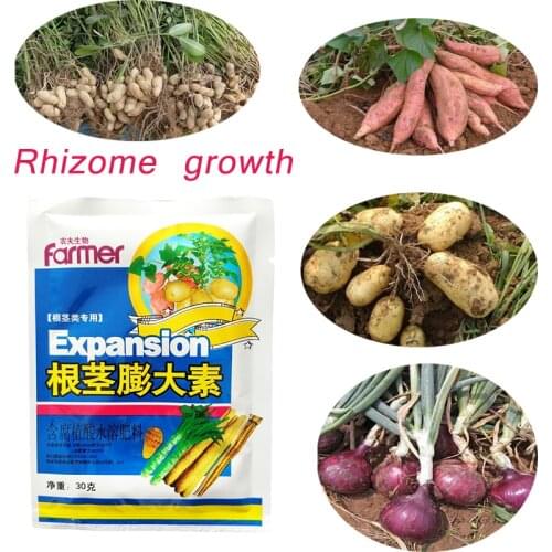 Tuber Expansion Fertilizer Plant Food Promote Rhizome Growth Root Crop Hydroponics Farm Vegetable Rooting Powder Fertilizer