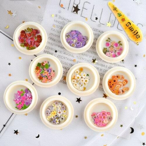 1box Small Flowers Epoxy Resin Mold Filling UV Resin Decorative Wood Pulp Chips Natural Flower Jewelry Making Craft DIY