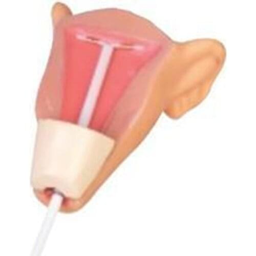 IUD Training Simulator,Intrauterine contraceptive device training model