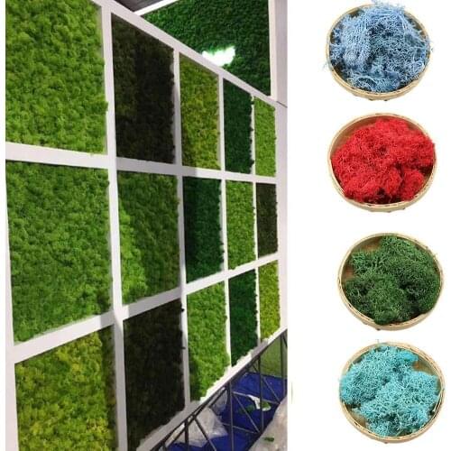 10g/bag Decorative Sphagnum Mosses Dry Natural Fresh Dried Preserved Accessories Eternal Moss,real Flowers Decorative Grass B2W1