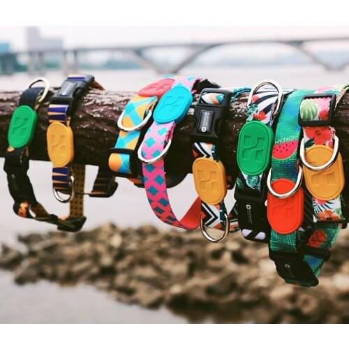 Dog Collar Breakaway Quick Release Pet Puppy Big Dog Collar Leash High Quality Colorful Sunshine California Series Fashion