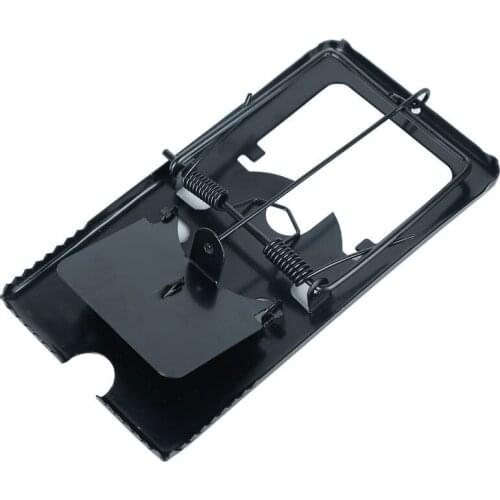 Семена ZLinKJ China At AliExpress