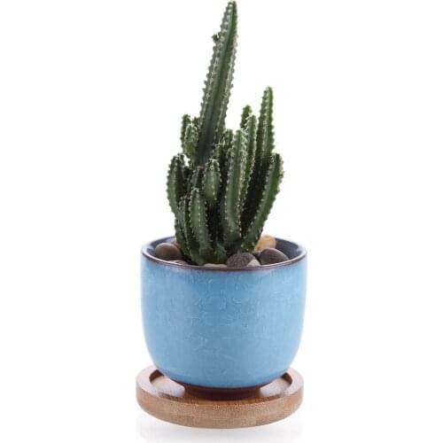 Ceramic Ice Crack Zisha Raised Serial Succulent Cactus Plant Pot Flower Pot Planter Light Blue With Bamboo Trays