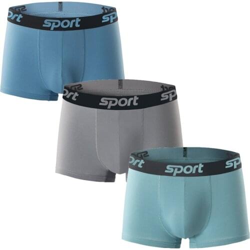 3PCS/Lots Mens Underwear Seamless Cotton Boxer Shorts Cueca Bugle Pouch Underpants Calzoncillos Hombre Slip Homme Boxershorts