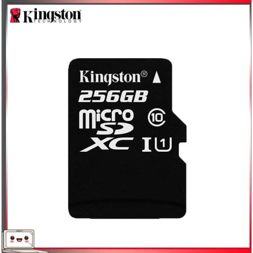 Kingston 100% Original Micro SD Card Class 10 256GB Memory Card C10 Mini SD Card SDHC SDXC TF Card For Smartphone Dropshipping