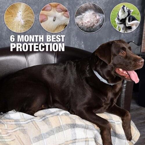 Cat Dog Removal Flea Lice Mites Mosquito Insect Pet Anti-mosquito Safety Cleaning Supplies Lovely Style