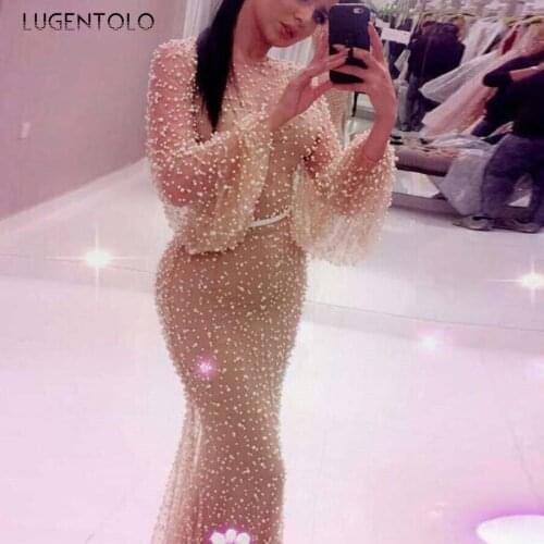 Women Party Dress Slim Mesh Long Sleeve Dresses Gauze Solid Tight-fitting Buttocks Empire Ladies Elegant Long Dress