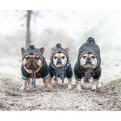 Winter Dog Hat - Keep Their Heads Warm Safe From Frostbite Headwear for Small Dogs French Bulldog Pet Product Winter Dog Cap Hat