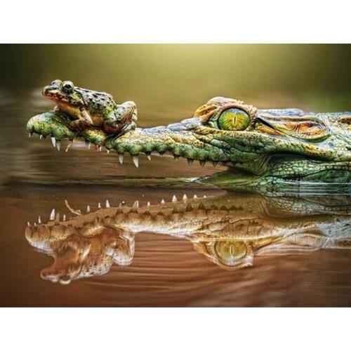 5D DIY Diamond Painting Crocodile And Frog Home Decor Handmade Diamond Painting