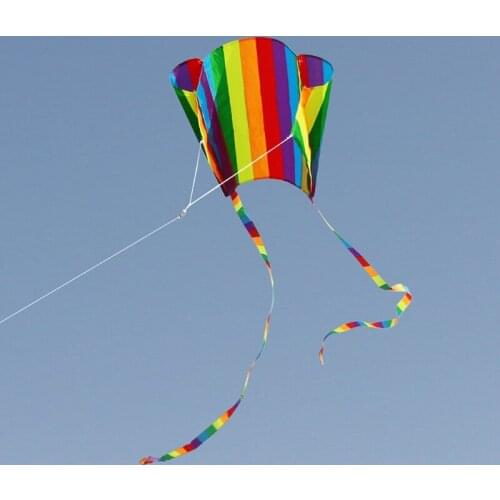 Colorful Rainbow Kite Long Tail Nylon Outdoor Kites Flying Toys For Children Kids Kite Surf With 30m Kite Line High Quality