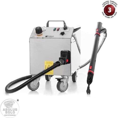 Professional steam cleaner no stop wheels portable sanitation clean floors objects copper boiler antiscale LP01 RA