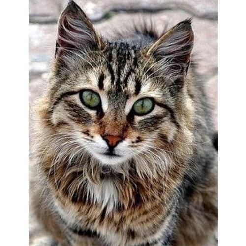 5D Diamond Paintings Cat Diamond Embroidery Cartoon Diamond Cross Stitch Modern Home Decor animal Pictures Wall painting E1604