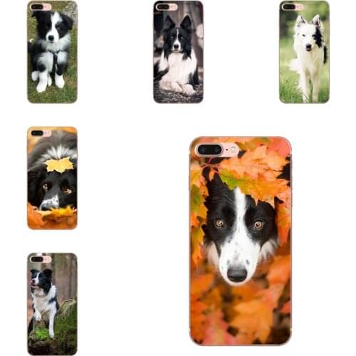 Border Collie Dog Breed Top Detailed Popular Ultra Thin Cartoon Pattern For Xiaomi Redmi Note 2 3 3S 4 4A 4X 5 5A 6 6A Pro Plus