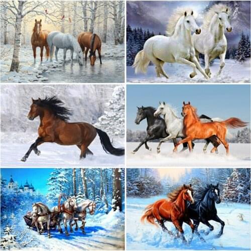EverShine 5D Diamond Painting Full Drill Square Animal Picture Rhinestones Diamond Embroidery Horse New Arrival Handmade Hobby