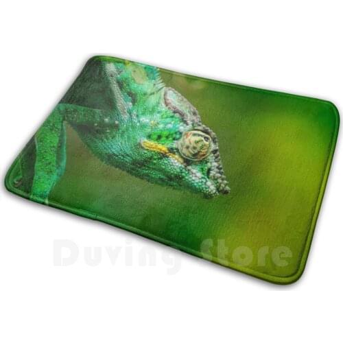 Panther Chameleon Carpet Mat Rug Cushion Soft Nature Natural Animal Animals Reunion Island Madagascar Panther