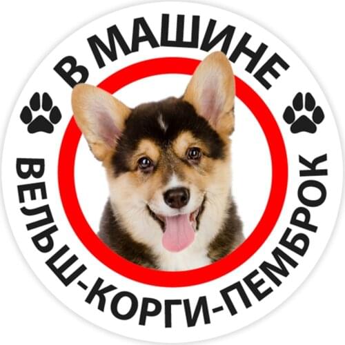 B0295# Welsh Corgi Pembroke In the Car Self-adhesive Decal Car Sticker Waterproof Auto Decors on Bumper Rear Window