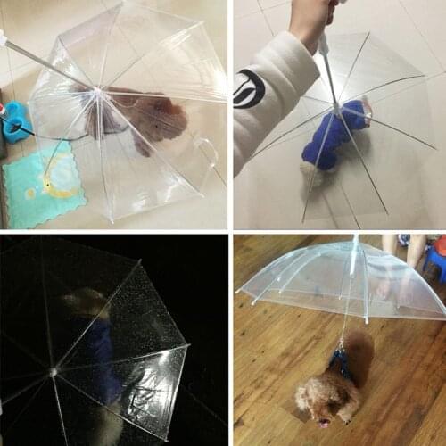 Portable Transparent Walking Small Dog Cat Pet Umbrella With Chain Keep Dry In Rain Outdoor Gear Tool