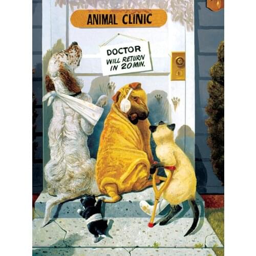 5D DIY DIY Diamond Embroidery Rhinestone Mosaic Home Decor Injured Cats And Dogs Seek Veterinarian Help