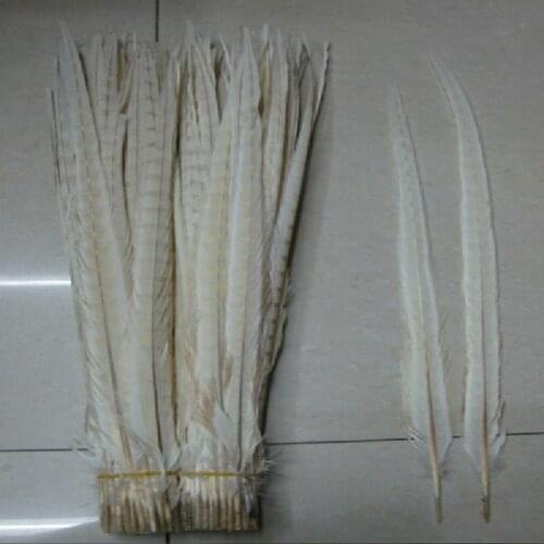 50PCS white Natural pheasant tail feathers 50-55 cm / 20-22 inches pheasant feathers centerpieces wedding decorations