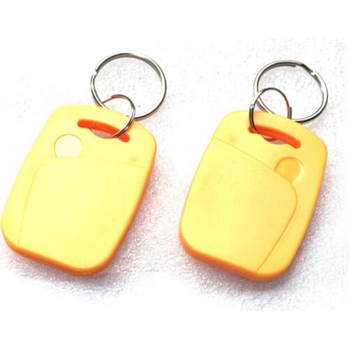 IC+ID Dual RFID/NFC Keyfobs EM4100&FM11RF08 S50 RFID&NFC Composite Card 125khz RFID 13.56mhz NFC Key Tag Access Control Card