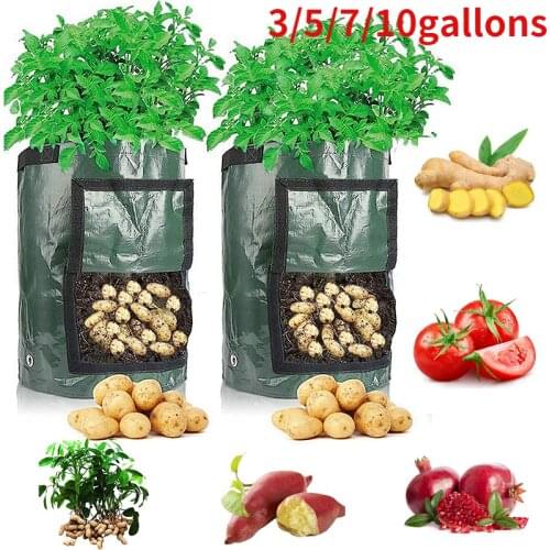 PE Potato Grow Bags Indoors Tomatoes Carrots Grow Pot Planting Vegetable Pots Garden Living Bag Outdoor Garden Pot Garden Tool