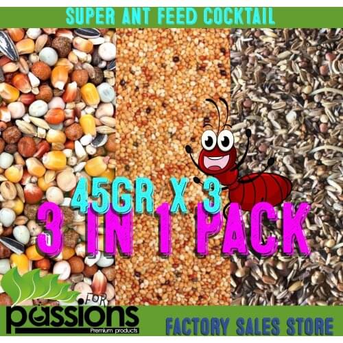 Blue pigeon Home And Garden Products