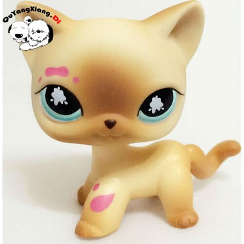 CWM010 Pet Shop Animal Yellow Cat Green eyes doll action Figure kitten