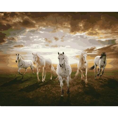 Running Horse 40x50cm DIY Painting By Numbers Paint On Canvas Kits Drawing Paint By Numbers For Living Room Home Wall Decor