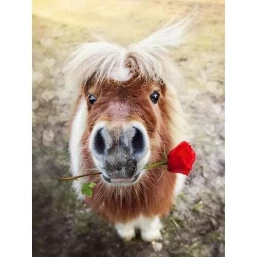 5d diy full square drill diamond painting handcraft work-Horse rose-embroidery Realshining cross stitch rhinestone mosaic