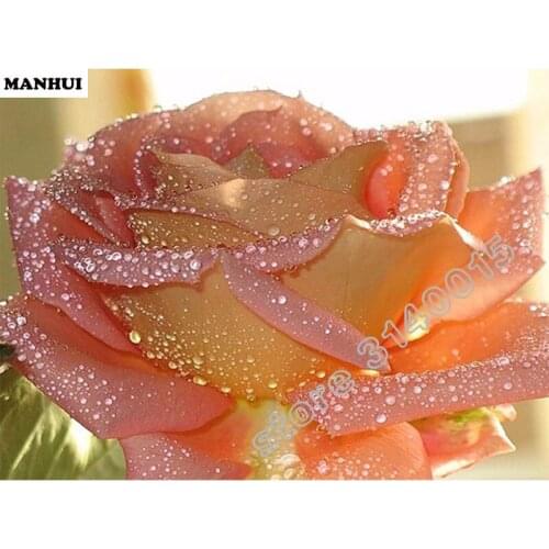 Diy Diamond Painting Cross Stitch Drip water roses Handmade Diamond Mosaic Kits Diamond Embroidery Home Decoration BEC122