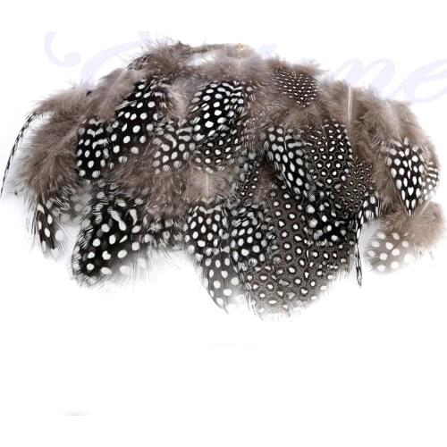 50Pcs Beautiful Natural Pheasant Feathers for Craft Sewing Millinery Costume DIY L4MF