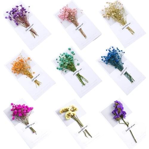 Creative Mini Real Flower Greeting Card Valentines Day Card Thanksgiving Blessing Card Christmas Birthday Card Message Card