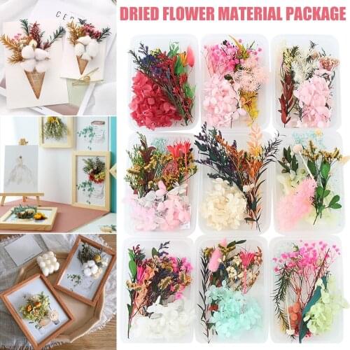 Real Dried Flowers Leaves Set For Diy Crafts Art Mixed Multiple Dry Flower For Candle Resin Jewelry Pendant Flores Artificiales
