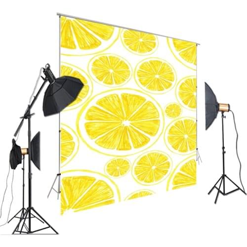 HUAYI Photography Backdrops Lemon Backdrop Backgrounds For Photo Studio Baby Costume Props XT-7283