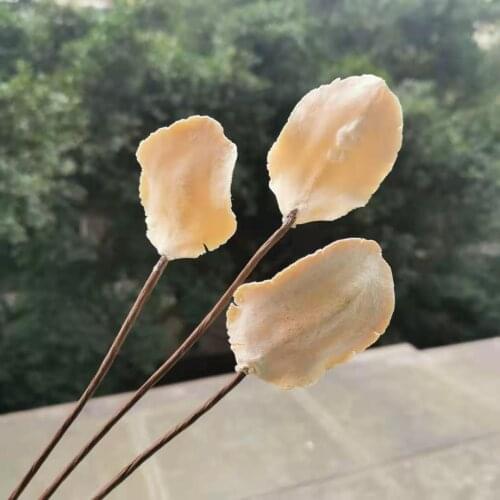 10pcs/35cm,Natural Dried Craft Bract Petals with Wire Stem,DIY Display Flowers for Wedding Party Home Arrangement Decoration