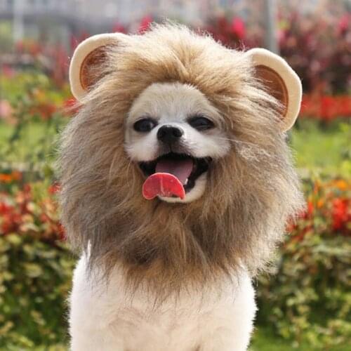 Cute Pet Cosplay Wig Transfiguration Lion With Ear for Samll Large Dog Cat Party Decoration