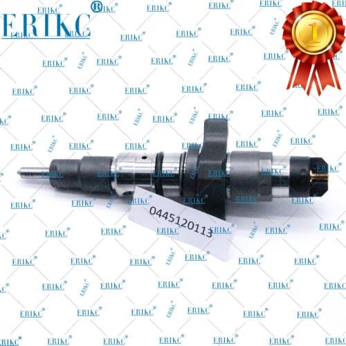 ERIKC Injector Common Rail 0 445 120 113 Genuine Diesel Injector 0445 120 113 Diesel Fuel Injector 0445120113